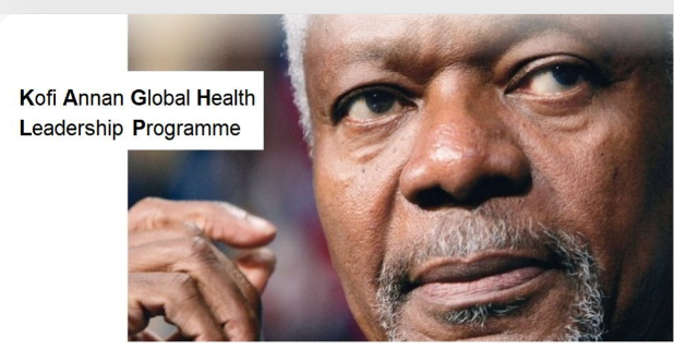 Le programme Kofi Annan Global Health Leadership Program